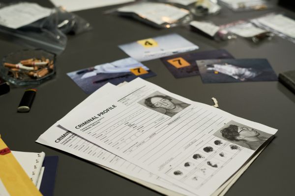 מעצרים, עורך דין פלילי